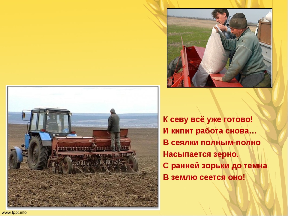 Кл час путь зерна. Кл час путь зерна